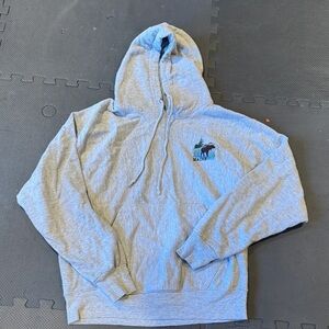 Gray Hoodie with Embroidered Logo